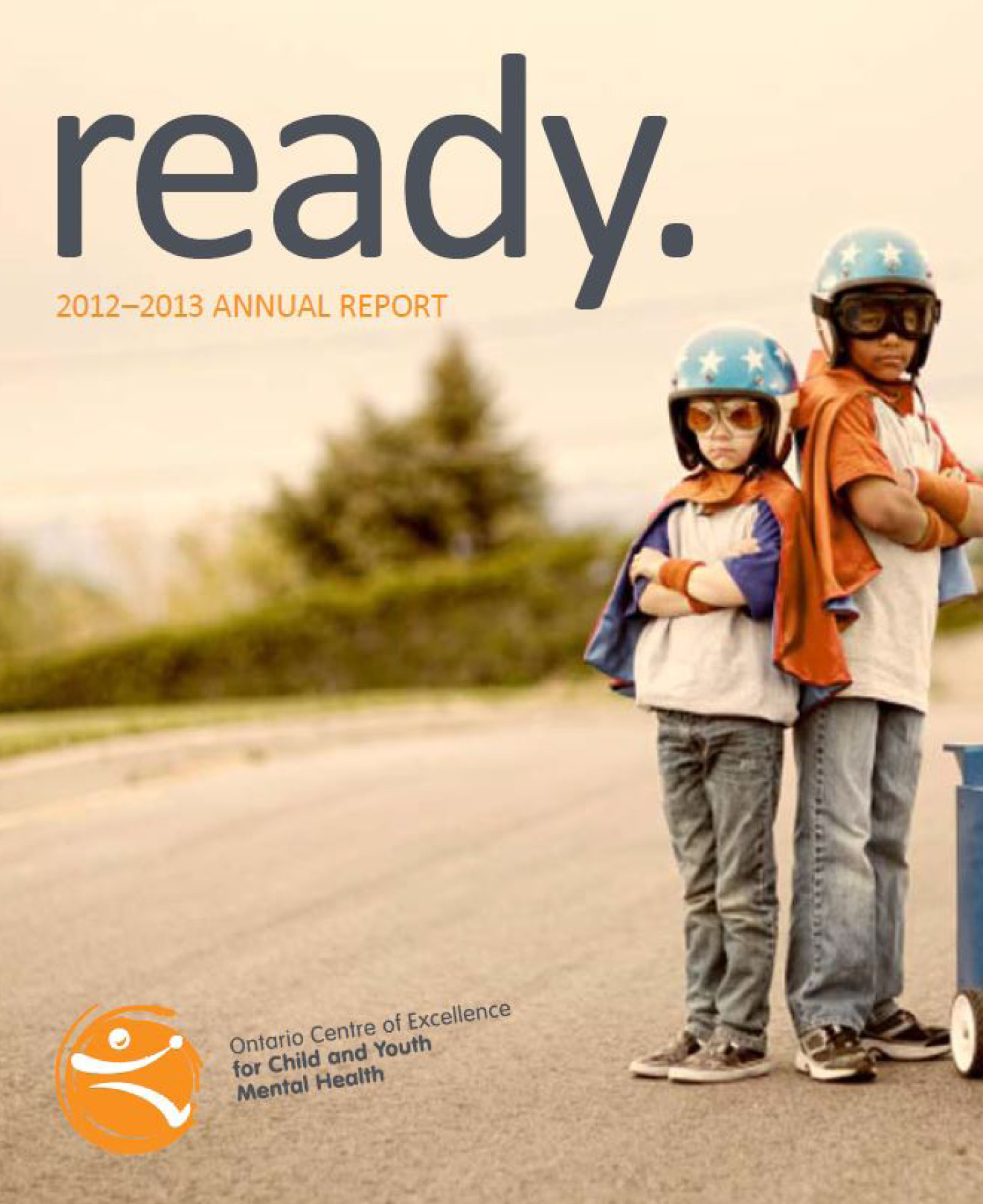 2013 impact report cover
