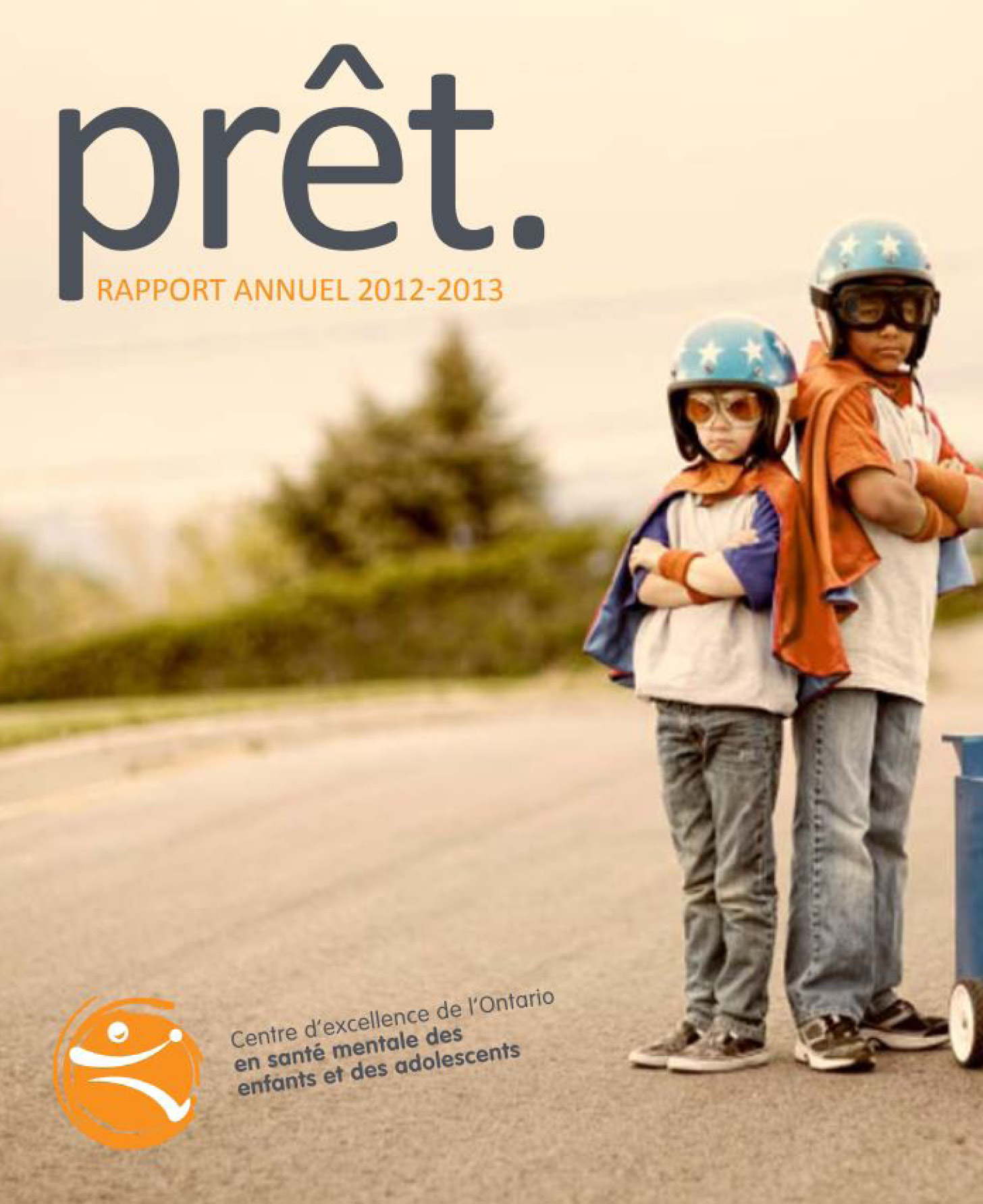  couverture du rapport d'impact 2013
