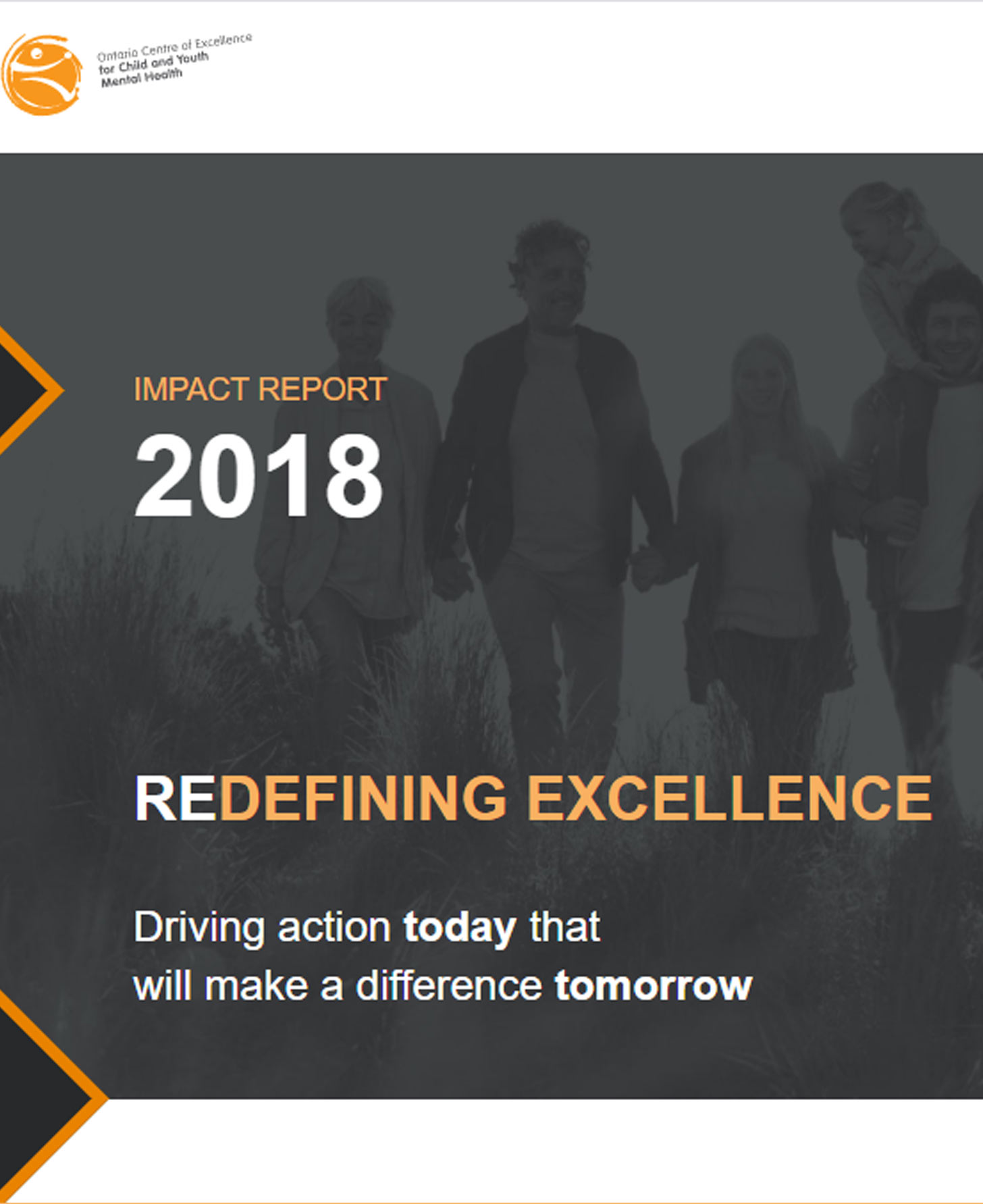 2018 impact report cover