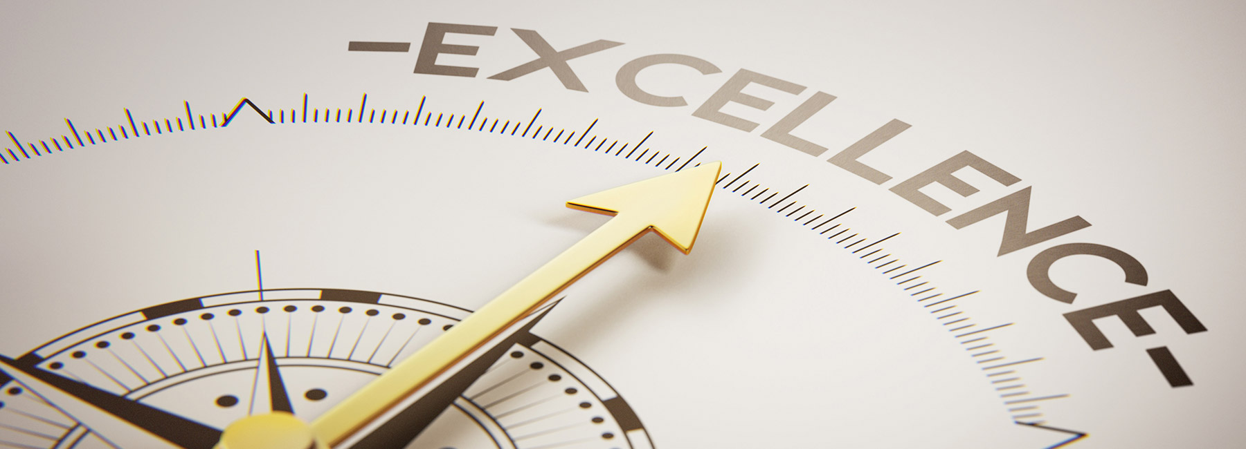 A compass needle points to the word "excellence"